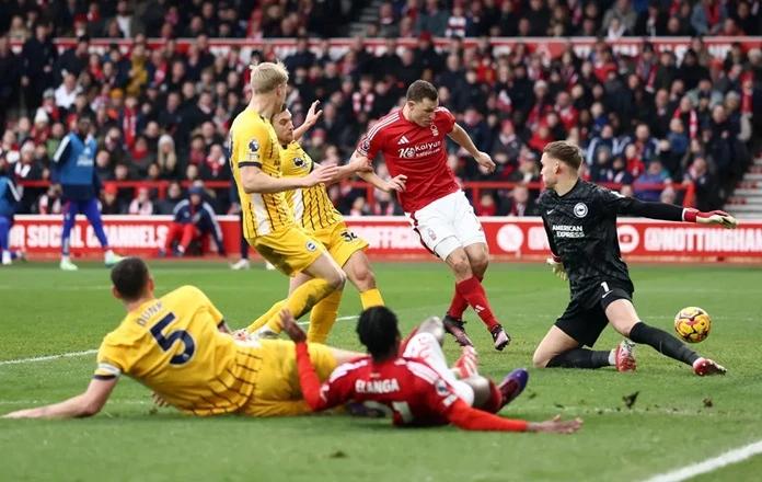 Read more about the article Nottingham 7-0 Brighton: Chiến thắng lịch sử sau 34 năm