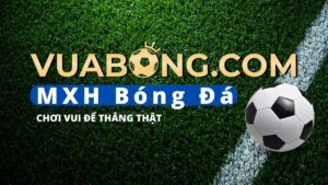 Read more about the article Vua Bóng | Nhà Cái Cá Cược Thể Thao & Casino Trực Tuyến Uy Tín